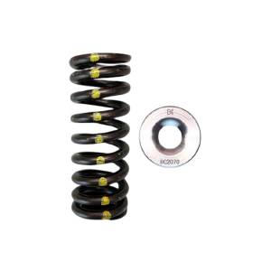 Kit de Molas e pratos Honda D16Y8/D16Z - BrianCrower